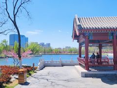 -西海子公园