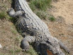 -石家庄市动物园