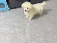 -沐沐家宠物(成寿寺店)