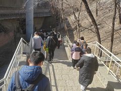 -白水寺森林公园