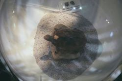 -酷嗒动物文化乐园(cutezoo西溪乐天城店)