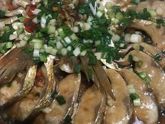 -全乐鱼馆·淳牌有机鱼直营店
