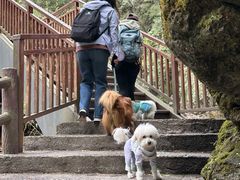 -西岭雪山大飞水景区