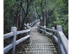 -广州市白云山风景名胜区