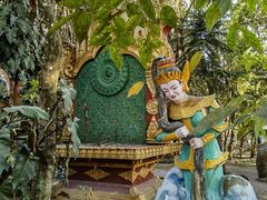 -瑞丽独树成林风景区