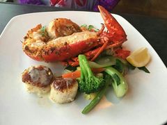 -Fish Hopper