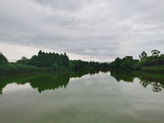-苏州太湖国家湿地公园