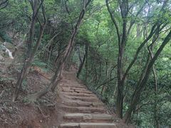 -杭州半山国家森林公园