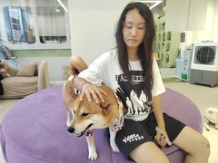 -怪兽屋·羊驼·猫咖·狗咖(俊华广场店)