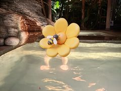 -和顺柏联温泉