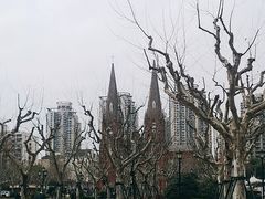 -徐家汇天主堂