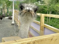 -水上乐园·欢乐世界