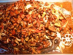 -锦尚阁烤鱼(望京新荟城店)