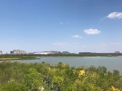 -天津东丽湖风景区