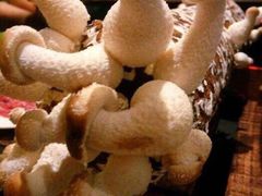 -椰子营·椰子鸡火锅(万象里店)