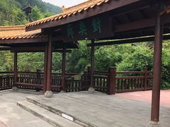 -铁山坪森林公园