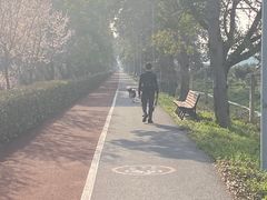 -上海长兴岛郊野公园