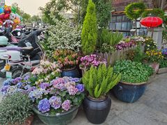 -二十八里太湖船菜(吉祥路店)