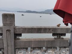 -湖畔居茶楼(湖滨店)