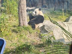 -武汉动物园