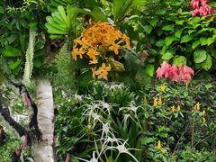 -中国科学院西双版纳热带植物园