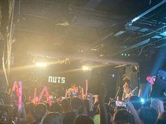 -坚果NUTS