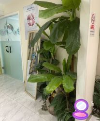 -健身堂科技美肌SPA