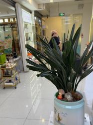 -虫二·专注健康烫染沙龙