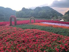 -广州市石门国家森林公园