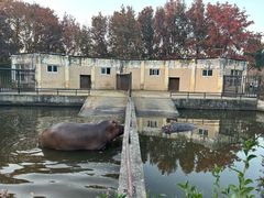 -合肥野生动物园