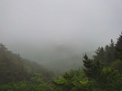 -金龙寺国家森林公园