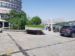 -李子坝梁山鸡(李子坝大鸡哥店)