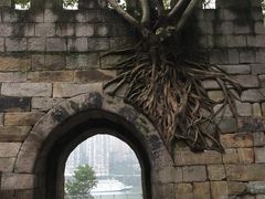 -重庆市江北嘴中央商务区中央公园