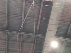 -极限PLAY运动娱乐新世界·团建派对潮玩休闲馆·室内蹦极高空游乐园