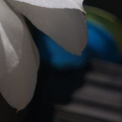-凡碧诗毛孔收细