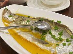 鸡油白水鱼-熠盛粤味·顺德桑拿鸡(永康路店)