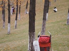 -重庆中央公园(渝北区)