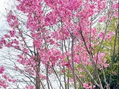 -梁鸿国家湿地公园