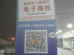 -卜蜂莲花(辽阳西路店)