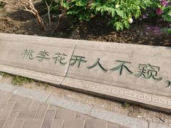 -莲花池公园