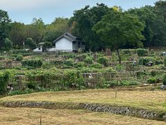 -杏花村文化旅游区