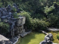 -上海吴淞炮台湾国家湿地公园