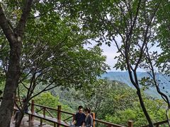 -大岭沟猕猴桃谷风景区
