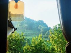 -礼耕堂·百年茶人餐厅(梅家坞店)