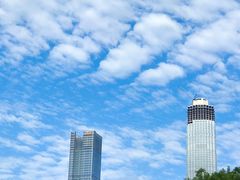 -陶然饺子城(奥体中路店)