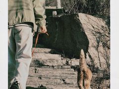 -北京凤凰岭