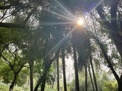 -龙头寺公园