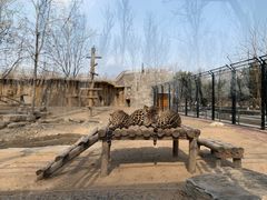 -北京野生动物园