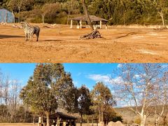 -杭州野生动物世界