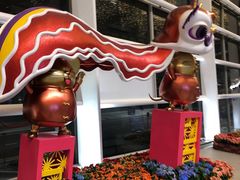 -奇华饼家(香港国际机场T1店)